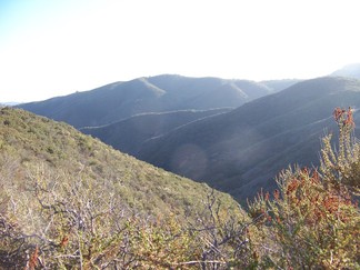 Cleveland National Forest.