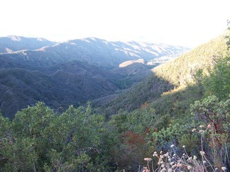 Cleveland National Forest.