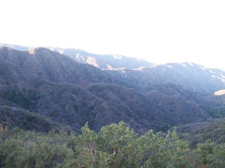 Cleveland National Forest.