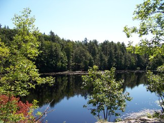 Pelton Pond, Fahnestock Park.