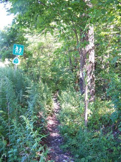 Appalachian Trail, Fahnestock Park.