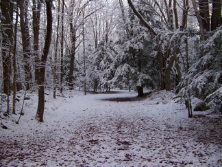 Dance Weekend, outside Athol, MA.