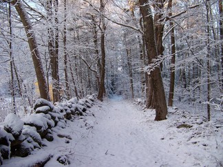 Dance Weekend, outside Athol, MA.