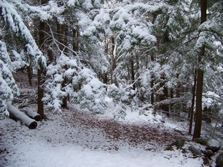 Dance Weekend, outside Athol, MA.