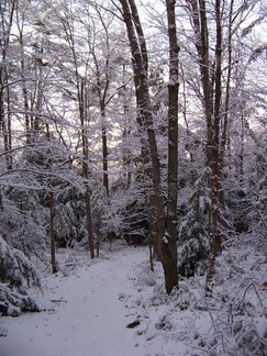 Dance Weekend, outside Athol, MA.