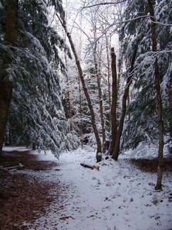 Dance Weekend, outside Athol, MA.