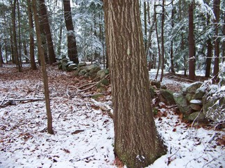 Dance Weekend, outside Athol, MA.