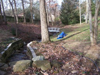 Herb and Ruby's stream.
