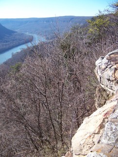 Trail, Signal Mountain, TN.