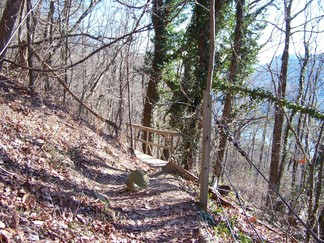 Trail, Signal Mountain, TN.