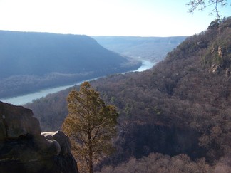 Trail, Signal Mountain, TN.