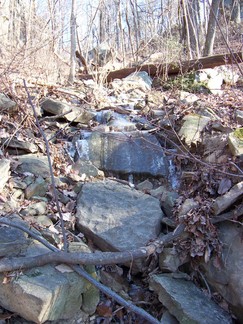 Trail, Signal Mountain, TN.