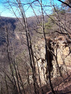 Trail, Signal Mountain, TN.