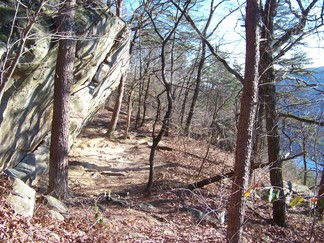 Trail, Signal Mountain, TN.